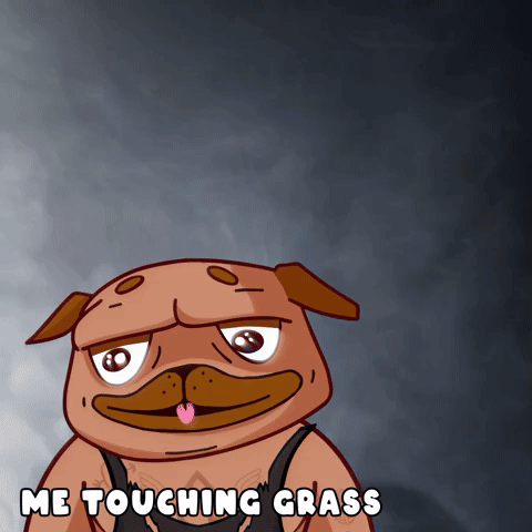 wwe meme