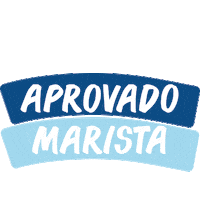 Maristamontesclaros Sticker by Marista Centro Norte