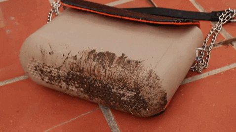 evolutionsmartbag giphygifmaker GIF