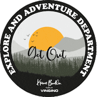 Surfing Skating Sticker by Vingino