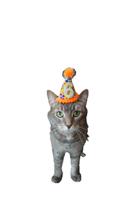 Party Cat Sticker by Alex Anderson