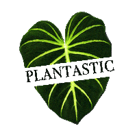 plantastic_ug_ plant plants pflanzen pflanze Sticker