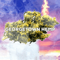 Georgetownhemp  GIF