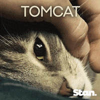 mardi gras GIF by Stan.