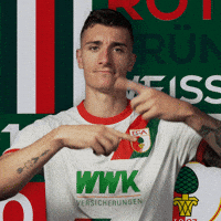 Cedric Zesiger Football GIF by FC Augsburg 1907