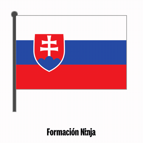 Slovakia Flag GIF by Formación Ninja