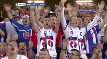 euro 2016 singing GIF by Sporza