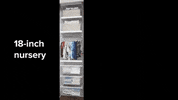 how to storage GIF by The Container Store