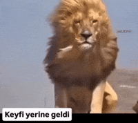 Osmangif GIF