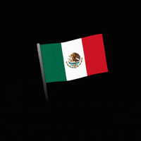 North Carolina Mexico GIF by Creative Courage