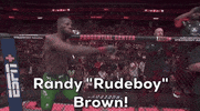 Mixed Martial Arts Sport GIF by UFC
