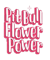 pit bull love Sticker