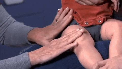 alegalazb giphygifmaker GIF