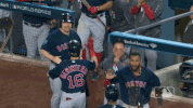 sox GIF by MLB