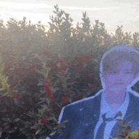 Chill Skz GIF