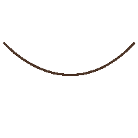 College Banner Sticker by Brown University
