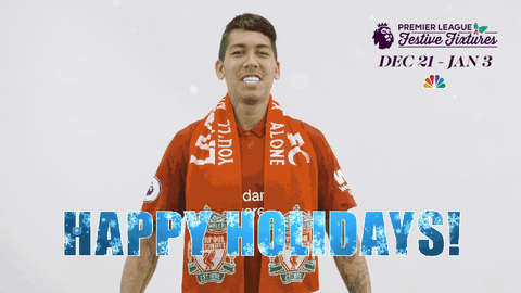 premier league GIF by NBC Sports Soccer