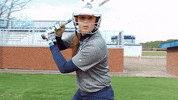 vwu_marlins marlins vwu wethebeach virginiawesleyan GIF