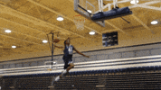 vwu_marlins marlins vwu wethebeach virginiawesleyan GIF