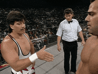 hulk hogan agree GIF