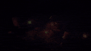 Halloween News GIF by Spaziocrypto