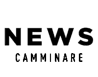 News Trend Sticker by Camminare Calçados