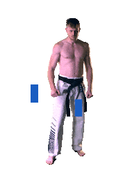 sticker mma by Karate Combat