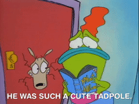 rockos modern life nicksplat GIF