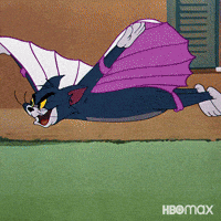 Chasing Tom And Jerry GIF by HBO Max