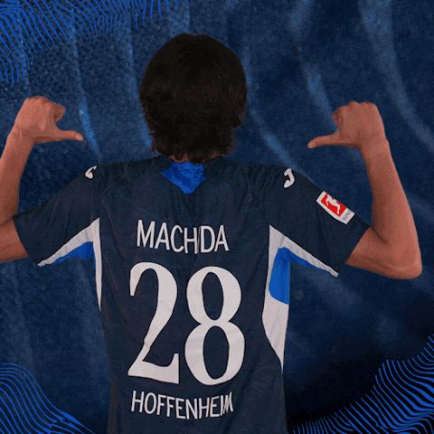 Sport Bundesliga GIF by TSG Hoffenheim