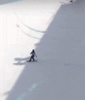 Gold Medal Winner GIF