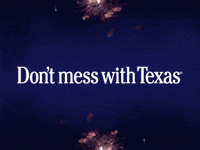Celebrate New Years GIF by Don't mess with Texas