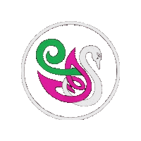 Champions Irish Sticker by Ashling Daly