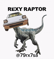 79Rx7Sa GIF