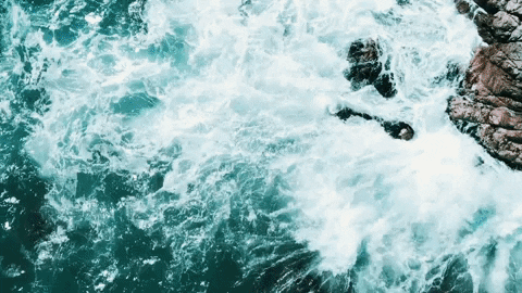 Water Wave GIF by Mason Gold