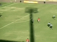 Colorado Inter GIF by Sport Club Internacional