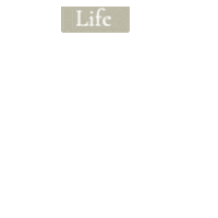 thesparklingclub life coach the sparkling club charly vigne Sticker
