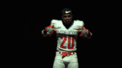 cnfb18 cnfootball18 GIF by Carson-Newman Athletics