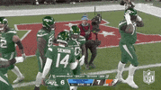 National Football League GIF by NFL