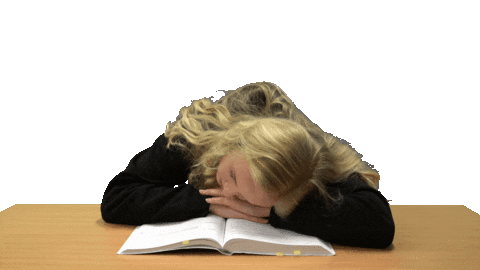 Student Sleeping Sticker by Høgskulen i Volda