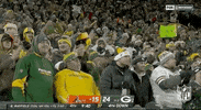 Football Sport GIF by NFL