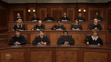 Snl Lawyers GIF by Saturday Night Live