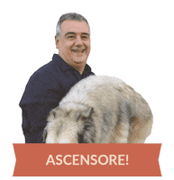 Benedetta Rossi Dog Sticker by Fatto in casa da Benedetta