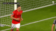 Sl Benfica Point GIF by Sport Lisboa e Benfica