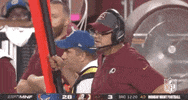 Regular Season Football GIF by NFL