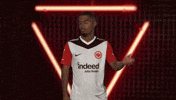 Eintracht Frankfurt GIF by Bundesliga