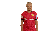 Bayer Leverkusen Wtf Sticker by Bundesliga