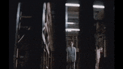 sam peckinpah elevator GIF by Film Society of Lincoln Center