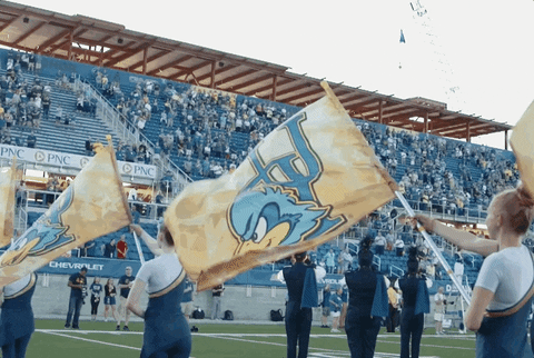 Football Band GIF by Delaware Blue Hens