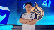 Esports Cs2 GIF by BLAST